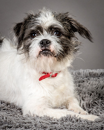 Foster Leeza-2615