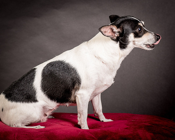 Foster Richa-0509