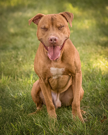 Foster Pablo-8004