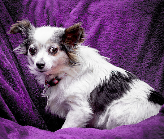 Foster Anouk-8803