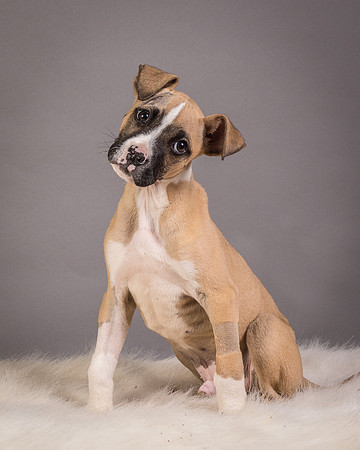 Foster Barnabas-4577