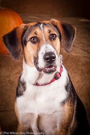 Molly-4470