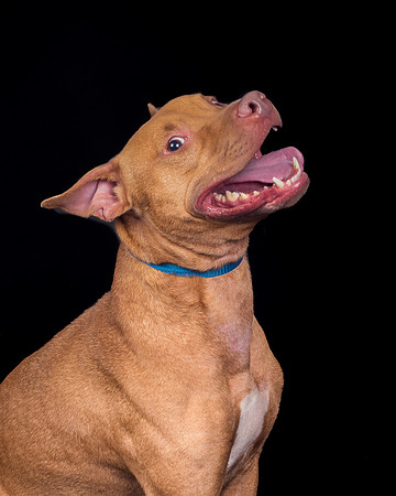 Foster Pablo-1958