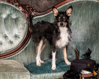 Foster Riley-4824