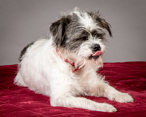 Foster Leeza-2759