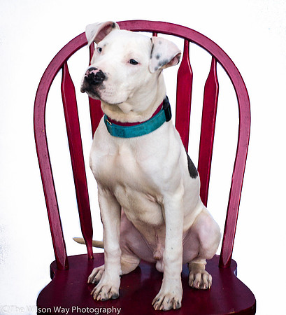Foster Curt-9203