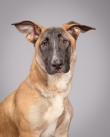 Foster Gabby-3997