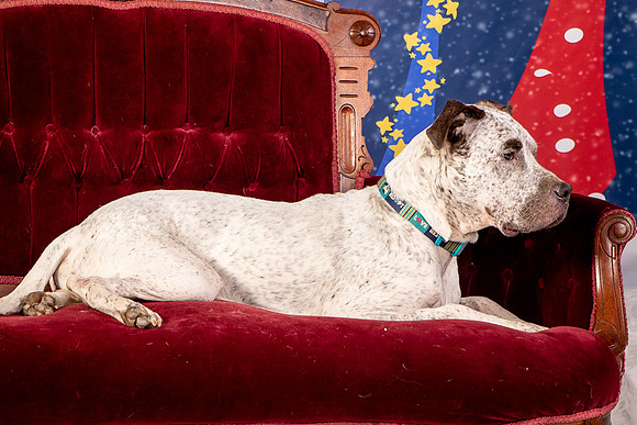 Foster Sylvester-0954