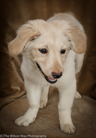 Foster Stephanie-9590