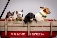 Foster Hospice Gang-3798