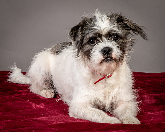 Foster Leeza-2714