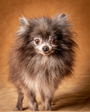 Foster Loretta-1279