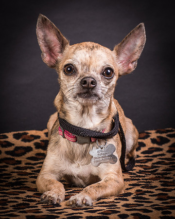 Foster Selina-1240