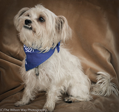 Foster Ricky-9013