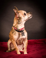 Foster Selina-1065