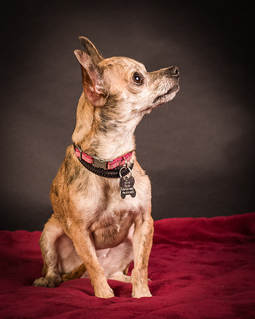 Foster Selina-1065