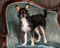 Foster Riley-4817