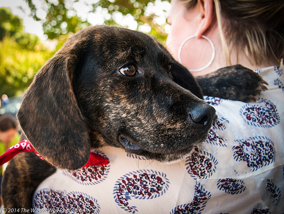 Foster Boscoe-9506