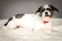 Foster Leeza-2554