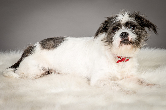 Foster Leeza-2554