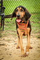 Jethro-0872