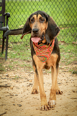 Jethro-0872