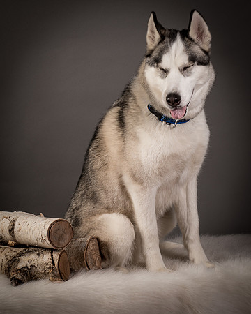 Foster Aspen-7662