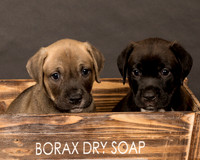Fosters Pebbles and Gazoo-1711