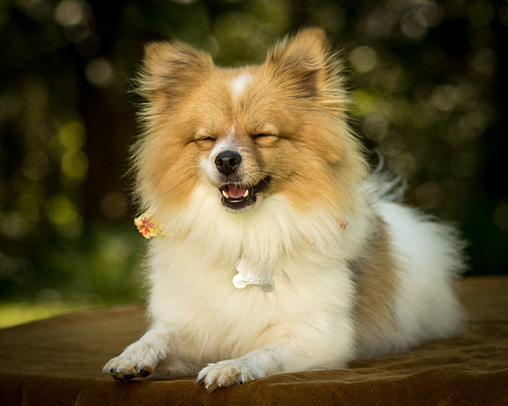 Foster Sydney-7659