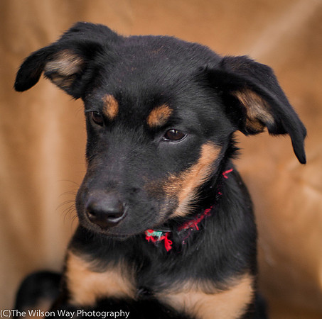 Foster Holister-9720