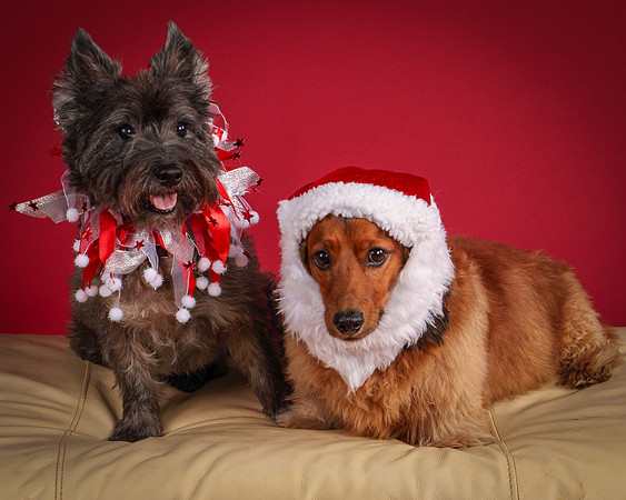 Brodie and Baxter-5722