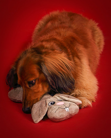Brodie and Baxter-5867