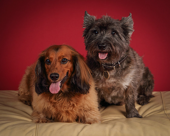 Brodie and Baxter-5695