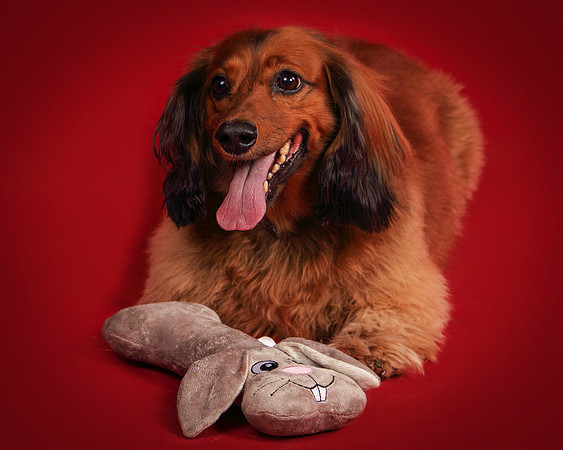 Brodie and Baxter-5859