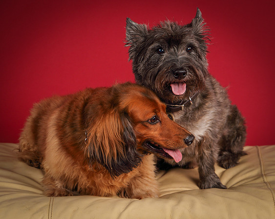 Brodie and Baxter-5697