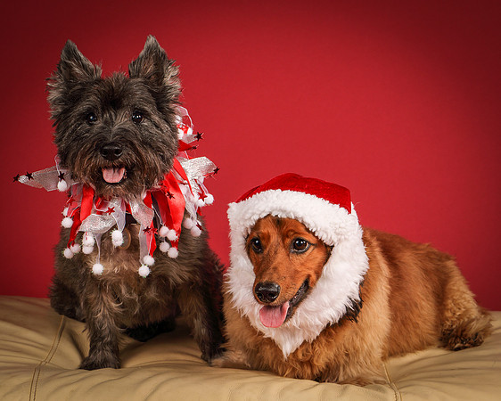 Brodie and Baxter-5725