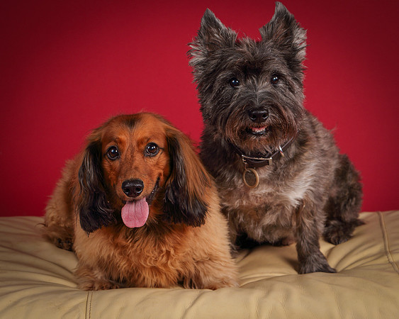 Brodie and Baxter-5702