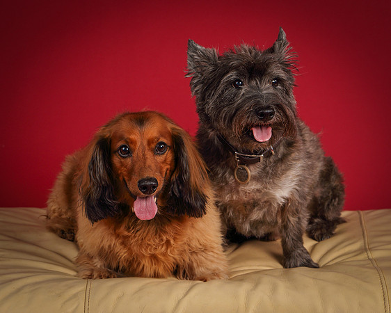 Brodie and Baxter-5696