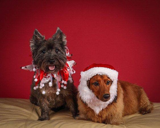 Brodie and Baxter-5723