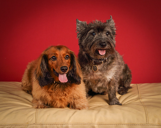 Brodie and Baxter-5692