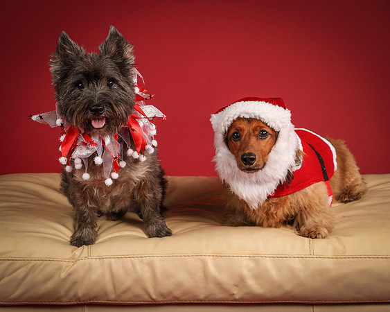 Brodie and Baxter-5718