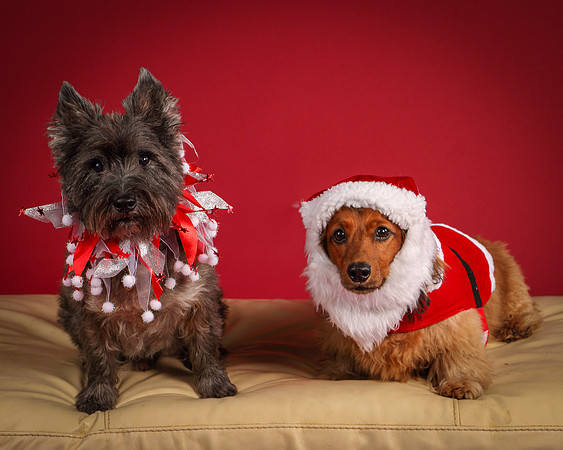 Brodie and Baxter-5716