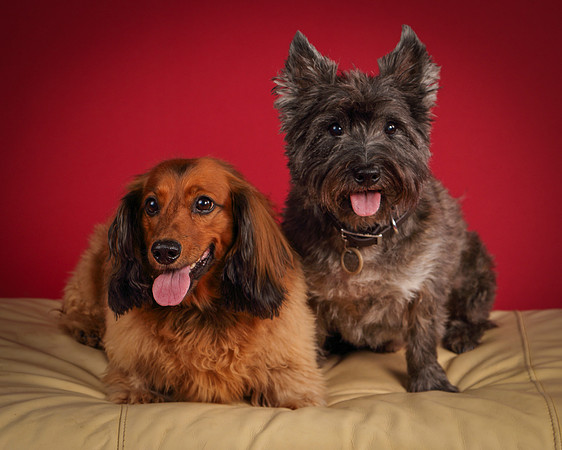 Brodie and Baxter-5704