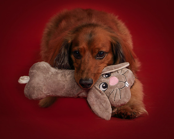 Brodie and Baxter-5853
