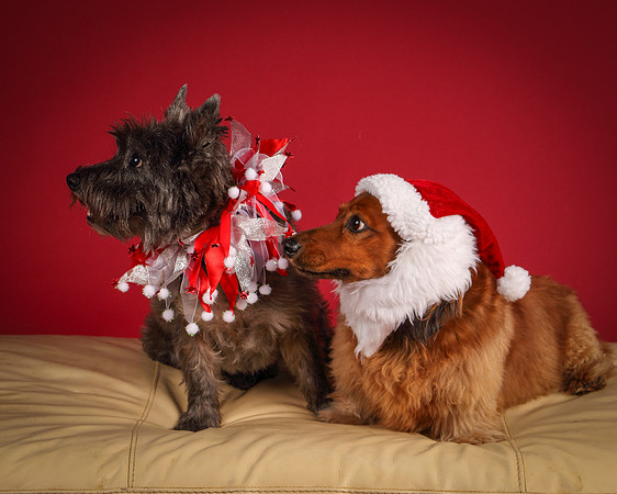 Brodie and Baxter-5721