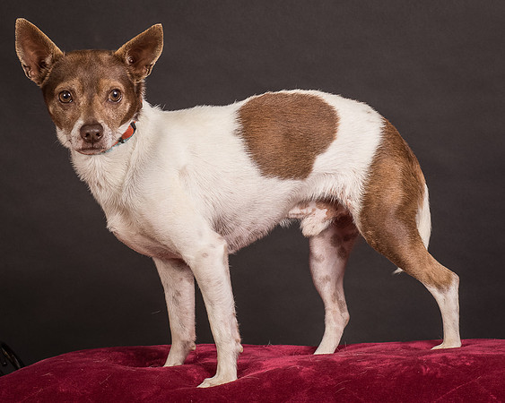 Foster Gus-0399