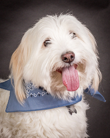 Foster Frosty-0568