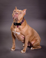 Maggie Griner-7540