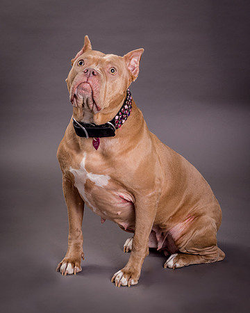 Maggie Griner-7540