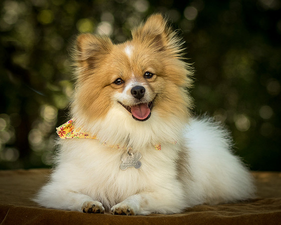 Foster Sydney-7653